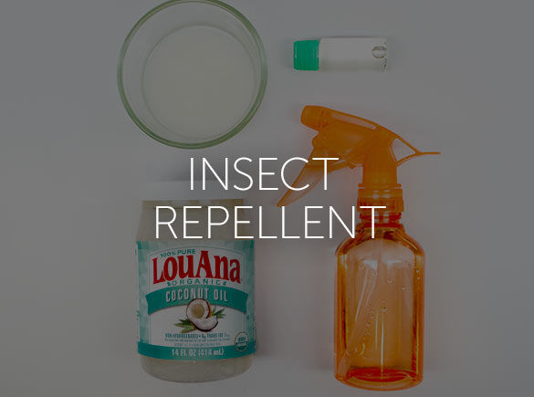 Coconut Oil Insect Repellent is made with LouAna Organic Coconut Oil.